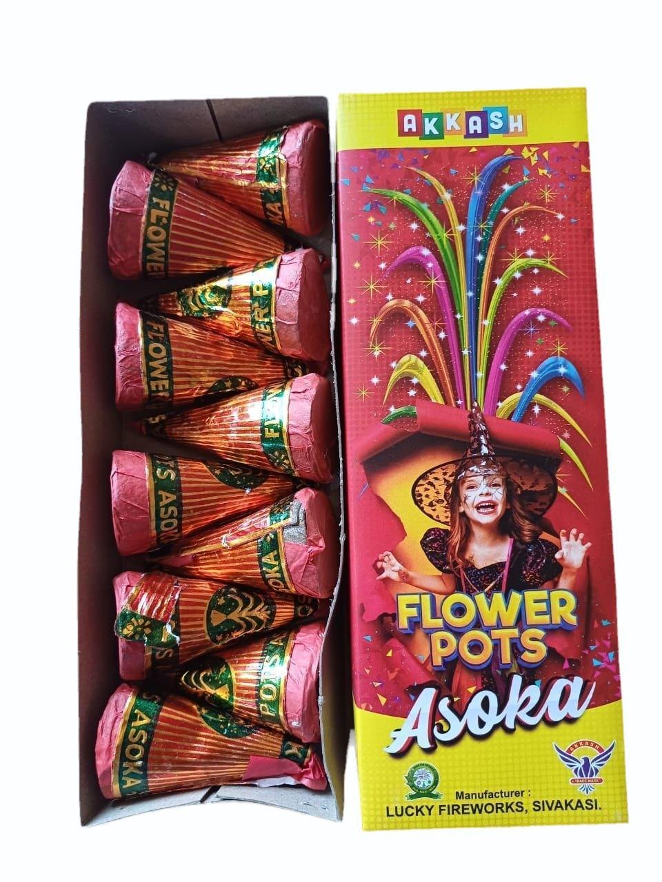 LEO - Flower Pot Asoka